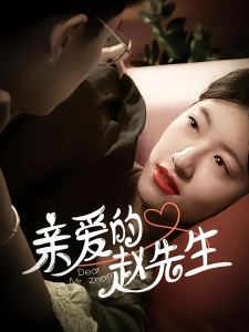 短剧亲爱的赵先生海报