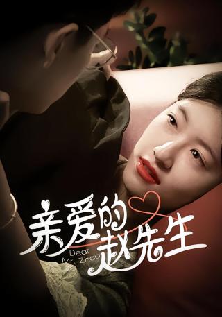 短剧亲爱的赵先生海报