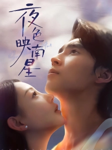 短剧夜色映南星海报