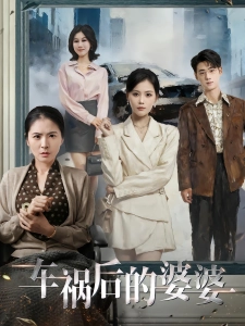 短剧车祸后的婆婆海报