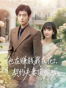 短剧他在赚钱我在花，契约夫妻顶呱呱海报