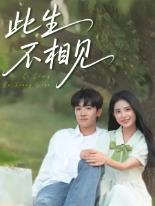 短剧此生不相见海报