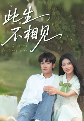 短剧此生不相见海报