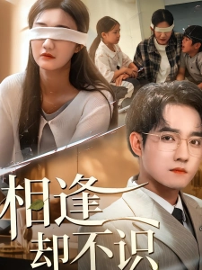 短剧相逢却不识海报