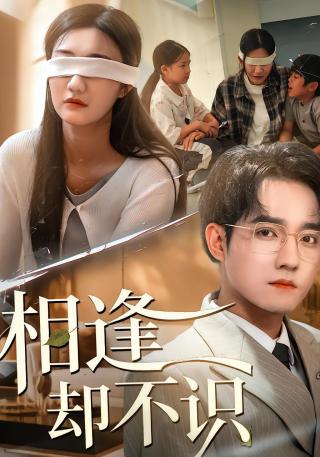 短剧相逢却不识海报