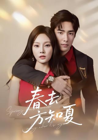 短剧春去方知夏海报