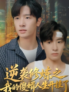 短剧逆袭修炼之我的傻婿人生开挂了海报