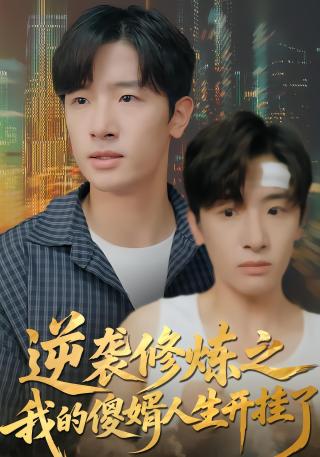 短剧逆袭修炼之我的傻婿人生开挂了海报