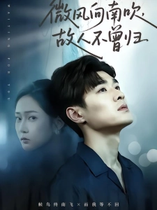 短剧微风向南吹，故人不曾归海报