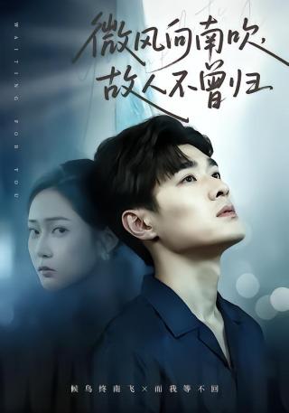 短剧微风向南吹，故人不曾归海报