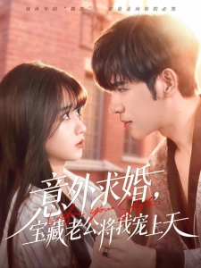 短剧意外求婚，宝藏老公将我宠上天海报