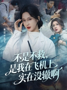 短剧不是不救，是我在飞机上实在没辙啊海报