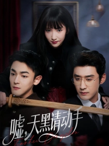 短剧嘘，天黑请动手海报