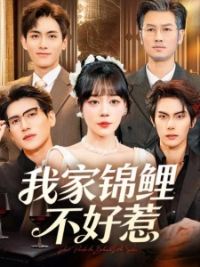 短剧我家锦鲤不好惹海报