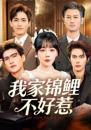 短剧我家锦鲤不好惹海报