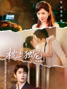 短剧枕上独宠海报