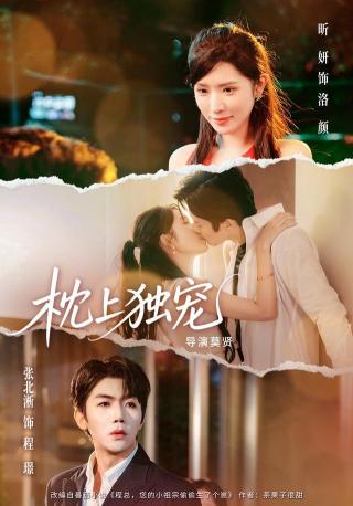 短剧枕上独宠海报