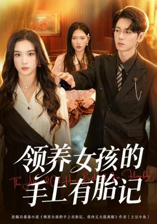 短剧领养女孩的手上有胎记海报