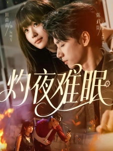 短剧灼夜难眠海报