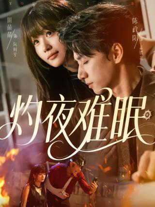 短剧灼夜难眠海报