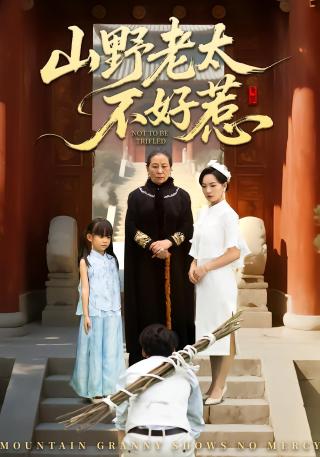 短剧山野老太不好惹海报