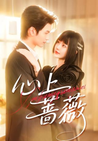 短剧心上蔷薇海报