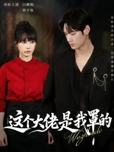 短剧这个大佬是我罩的海报