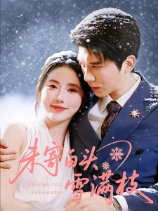 短剧未寄白头雪满枝海报