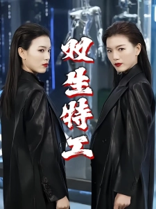 短剧双生特工海报