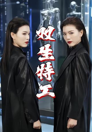 短剧双生特工海报