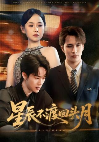 短剧星辰不渡回头月海报