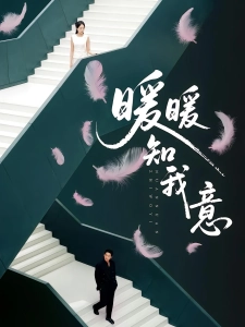 短剧暖暖知我意海报