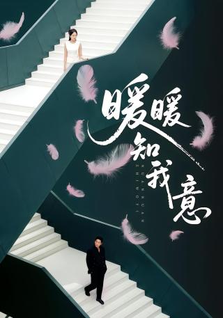 短剧暖暖知我意海报