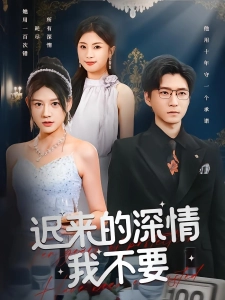 短剧迟来的深情我不要海报