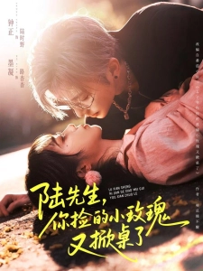 短剧陆先生，你捡的小玫瑰又掀桌了海报