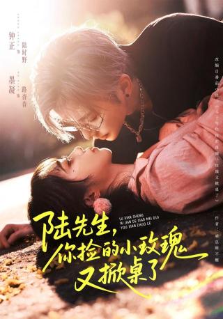 短剧陆先生，你捡的小玫瑰又掀桌了海报