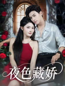 短剧夜色藏娇海报