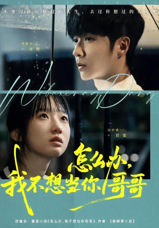 短剧怎么办，我不想当你哥哥海报