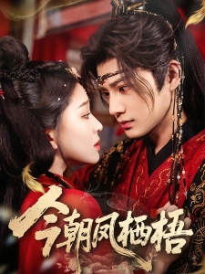 短剧今朝凤栖梧海报