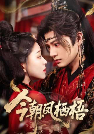 短剧今朝凤栖梧海报