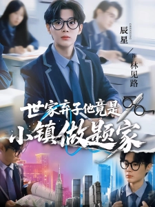 短剧世家弃子他竟是小镇做题家海报