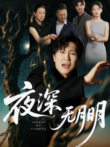 短剧夜深无月明海报