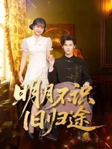 短剧明月不识旧归途海报