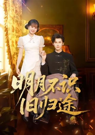 短剧明月不识旧归途海报