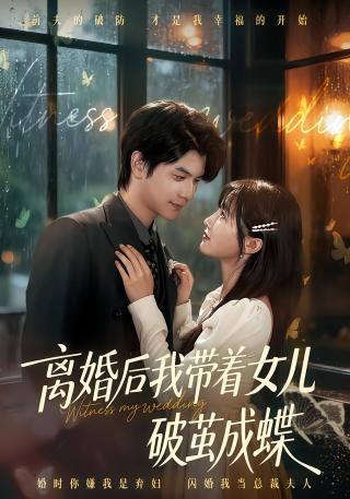 短剧离婚后我带着女儿破茧成蝶海报