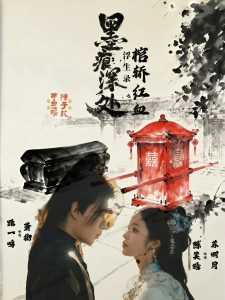 短剧墨痕深处浮生录之棺轿红血海报