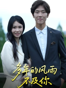 短剧多年的风雨不及你海报