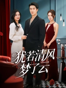 短剧犹若清风梦了云海报