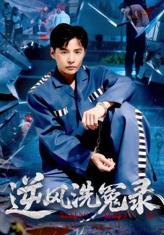 短剧逆风洗冤录海报