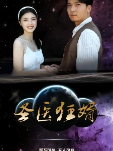 短剧圣医狂婿海报